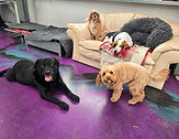 DaycareChill.jpg