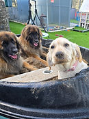 Daycareboat.jpg