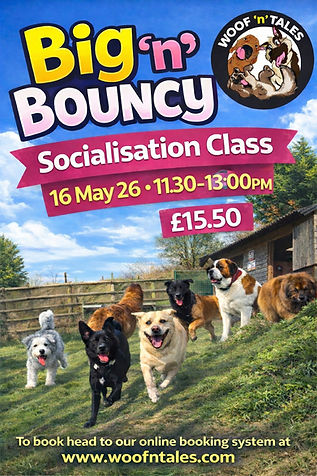 Big n Bouncy May 26.jpeg
