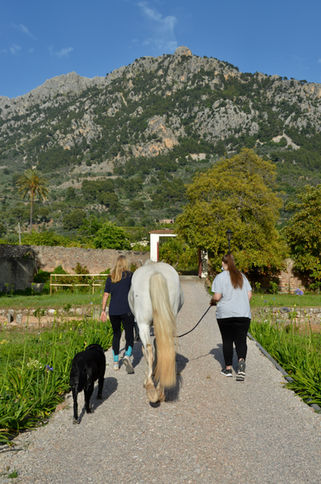 lisas-horse-island-soller-10