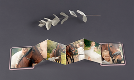 ACCORDION MINI BOOK V11-2 png.png