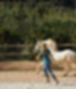 Horse Directory in Mallorca