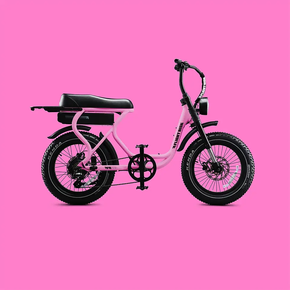 Thumbnail: FLIGHT RISK FR303