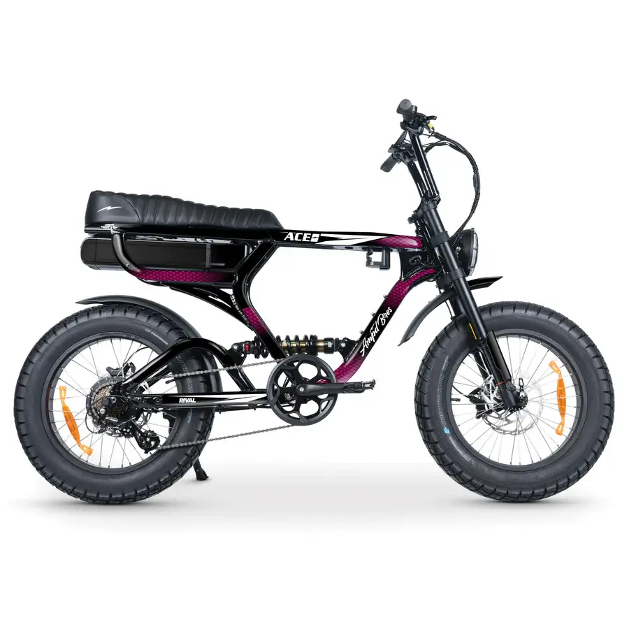 Thumbnail: ACE STICKER DECAL KIT