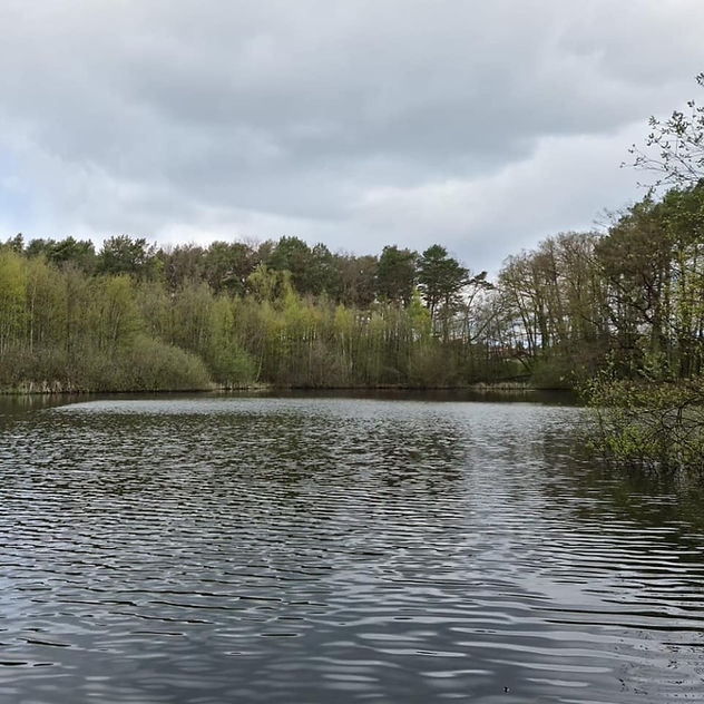 Pechpfuhl Ludwigsfelde