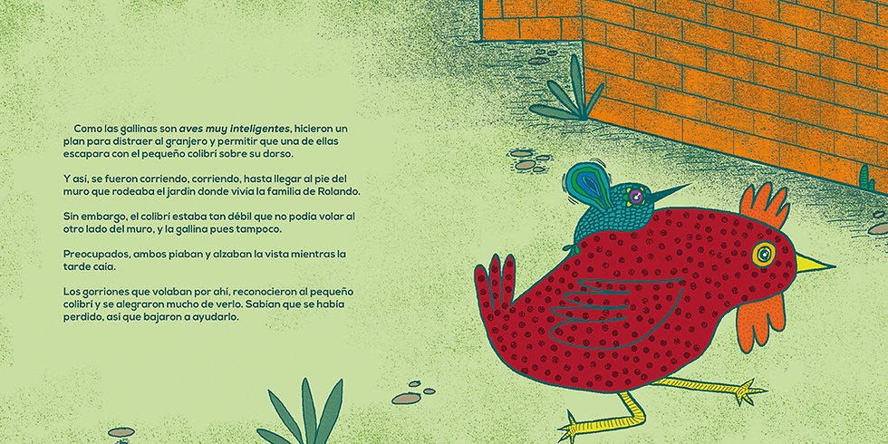 Miniatura: Rolando, el colibrí