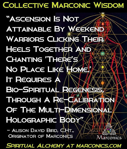 Weekend Warriors.jpg