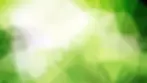 131333-abstract-green-and-white-polygon-background-template-graphic.webp