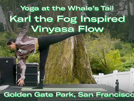 Yoga instructor practicing Half Moon Pose during a Karl the Fog inspired vinyasa flow at the Whale's Tail in Golden Gate Park, San Francisco.