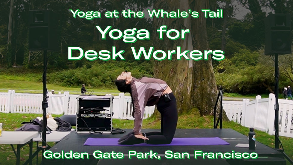 Yoga instructor practicing Half Moon Pose during a Karl the Fog inspired vinyasa flow at the Whale's Tail in Golden Gate Park, San Francisco.