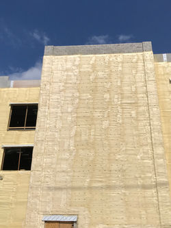 Lifetime Fitness - Spray Foam