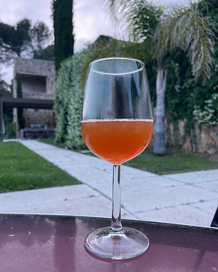 Fine cider tasting in Cabris