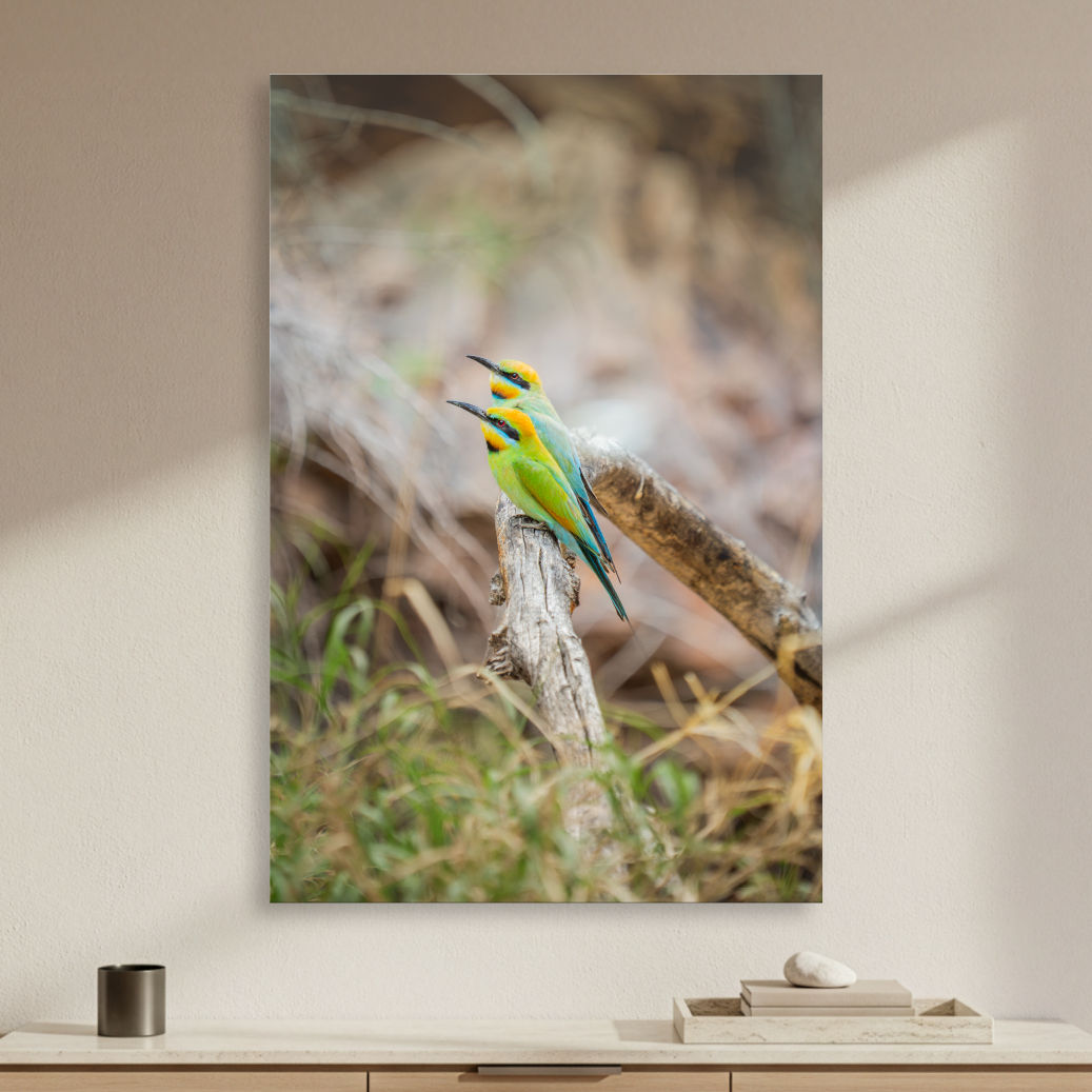 Metallic glass print hanging on wall showing Rainbow Bee-Eaters perched on branch