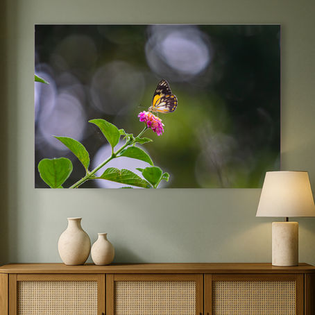 Metallic glass print hanging on the wall above a sideboard, showing a Caper White Butterfly on Lantana