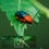 Thumbnail: A macro shot of a red and blue Leaf Beetle on a green leaf, showcasing its glistening colours.