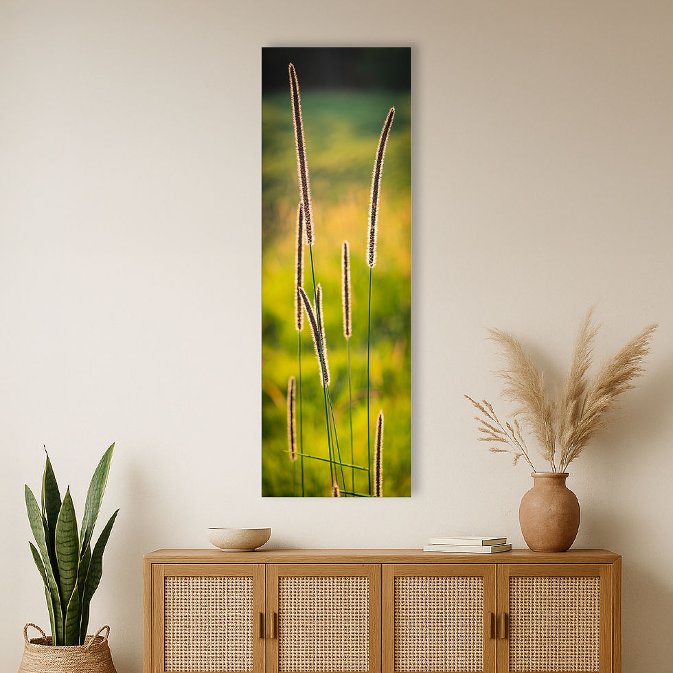 Metallic glass print hanging on the wall above a sideboard, showing glowing grass seed heads