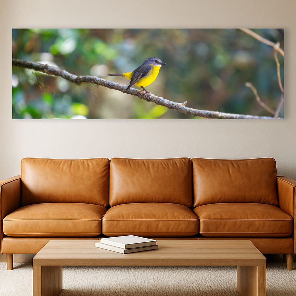 Thumbnail: Metallic glass print hanging on wall showing Eastern Yellow Robin on mossy branch