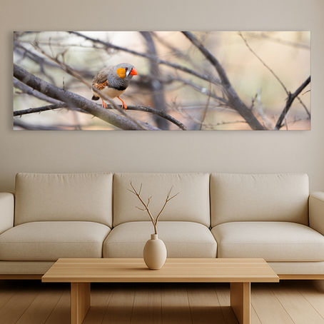 Metallic glass print hanging on wall featuring a Zebra Finch among pale branches