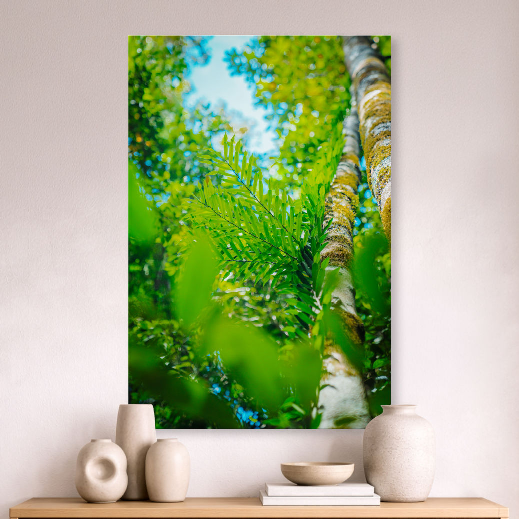 Metallic glass print hanging on the wall, showing a fern rising through bright green rainforest canopy