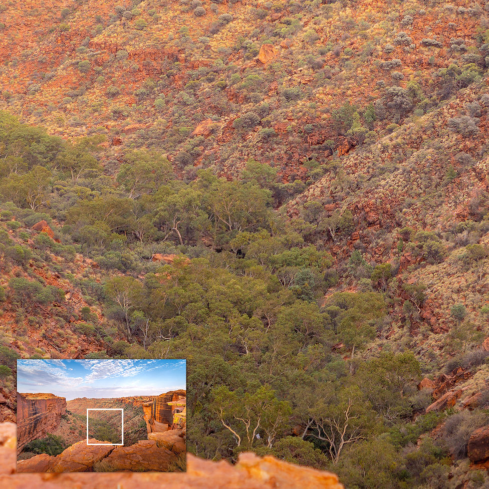 Thumbnail: Close-up of metallic glass print showing valley trees and layered canyon landscape detail