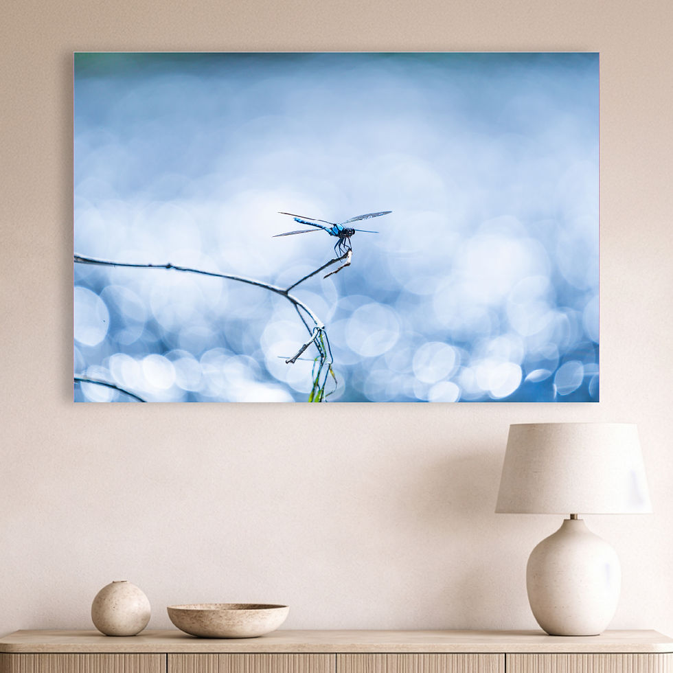 Metallic glass print hanging on wall showing Common Bluetail Damselfly above shimmering water