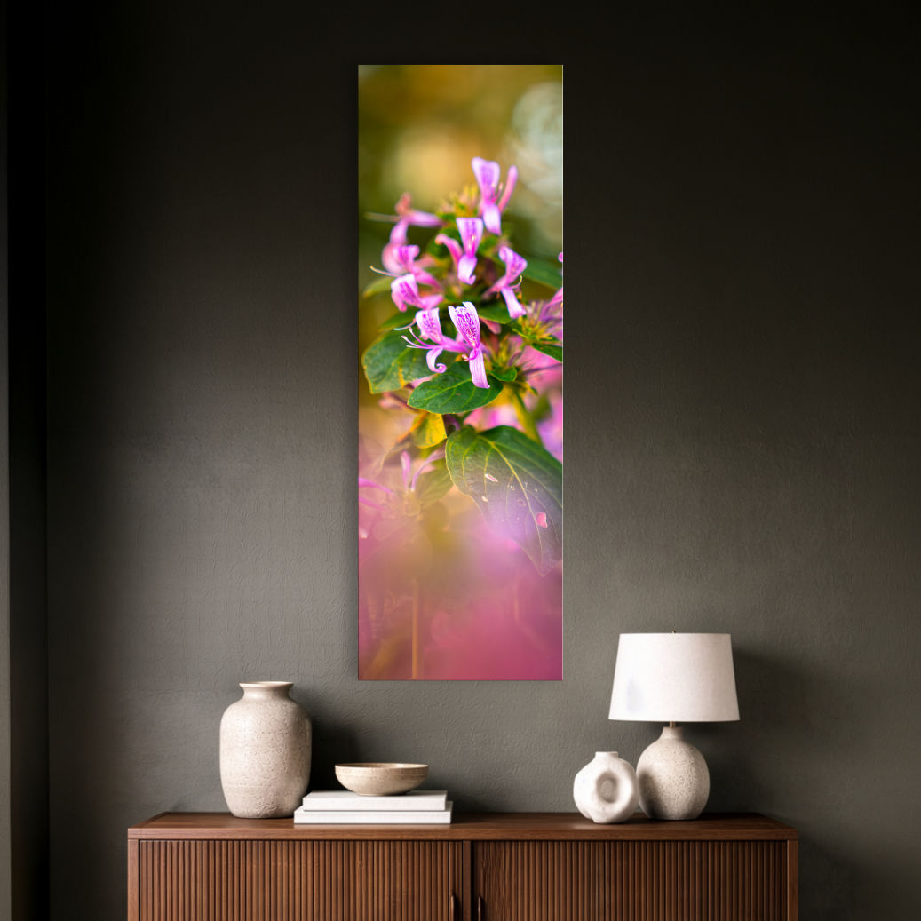 Metallic glass print hanging on the wall, showing pink Hypoestes aristata flowers with soft foreground blur