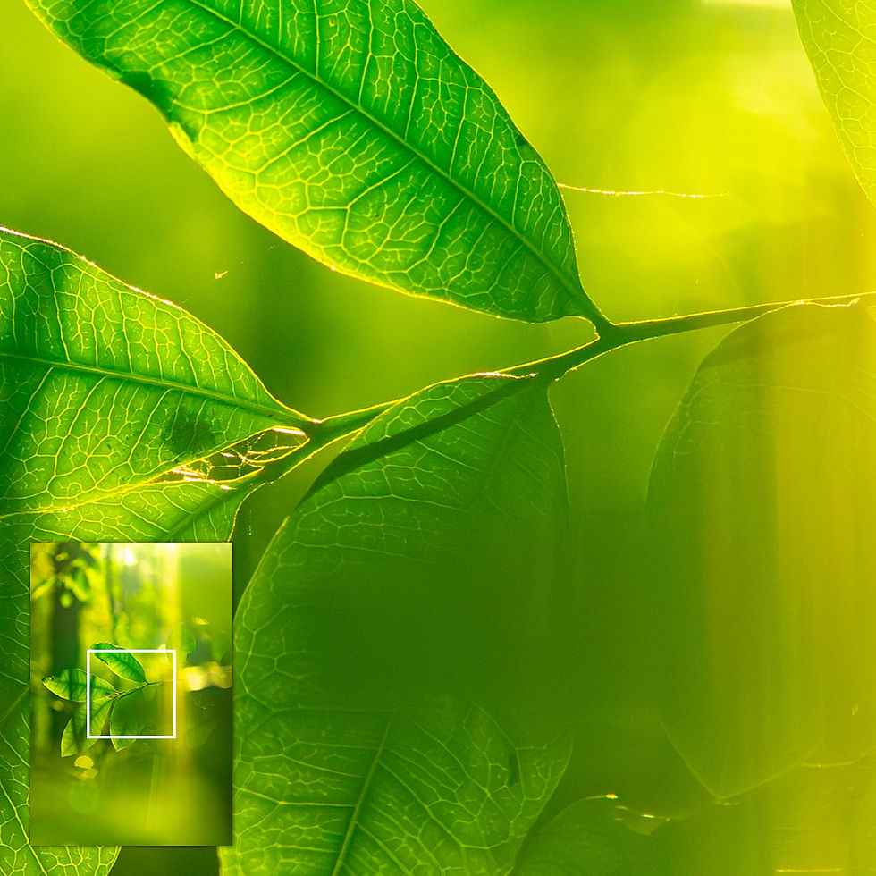 Close-up of a select area of the metallic glass print, highlighting glowing leaves and fine vein detail