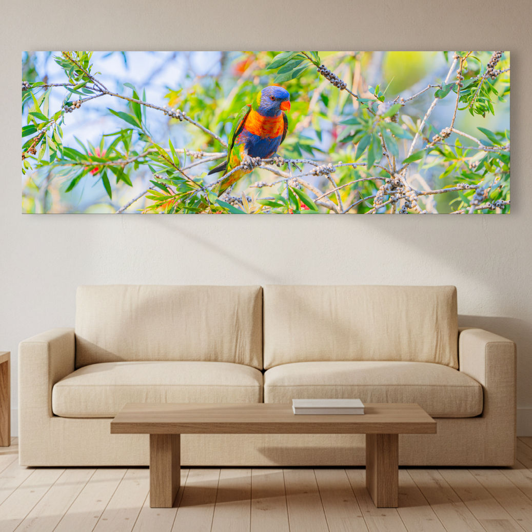 Metallic glass print hanging on the wall, showing a Rainbow Lorikeet among Bottlebrush branches