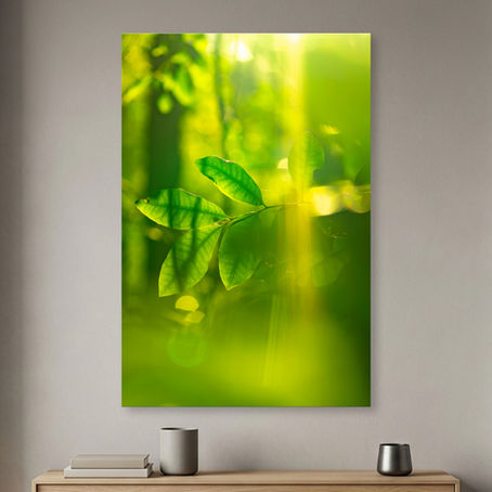 Metallic glass print hanging on the wall, featuring luminous green leaves in soft golden forest light