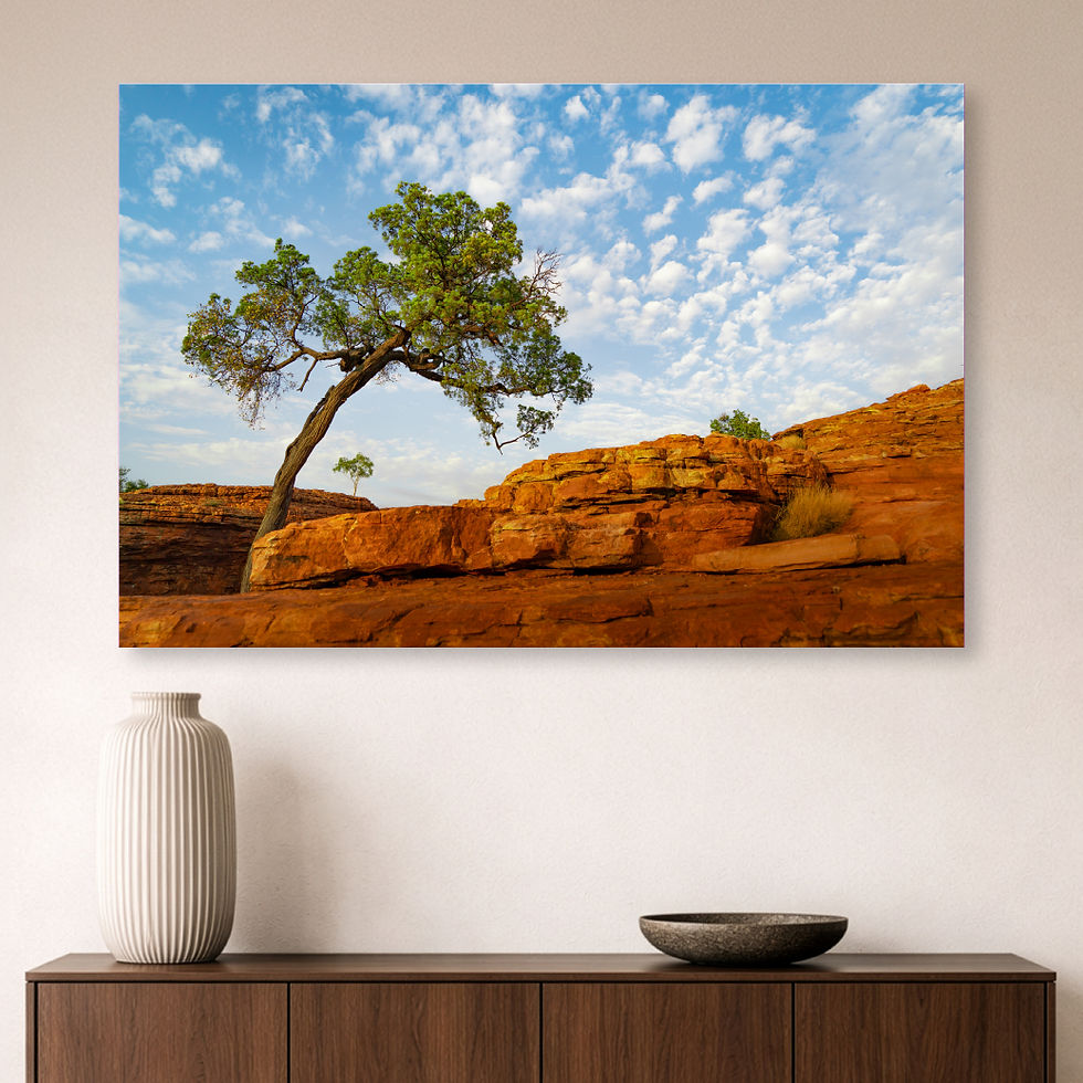 Metallic glass print hanging on wall showing lone tree on sandstone ledge under blue sky