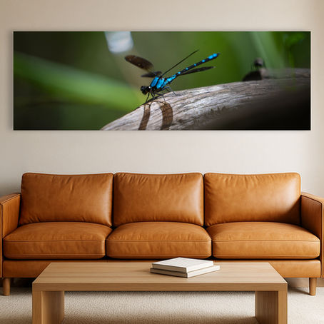Metallic glass print hanging on wall showing Common Bluetail damselfly on log in rainforest