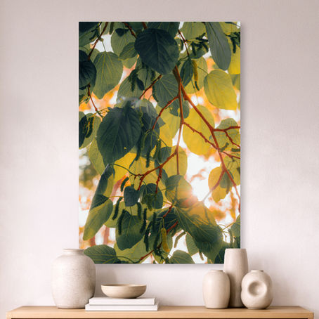 Catkin Cascade - Metallic Glass Print