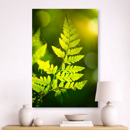 Metallic glass print hanging on the wall, showing a glowing green Fern in soft forest light