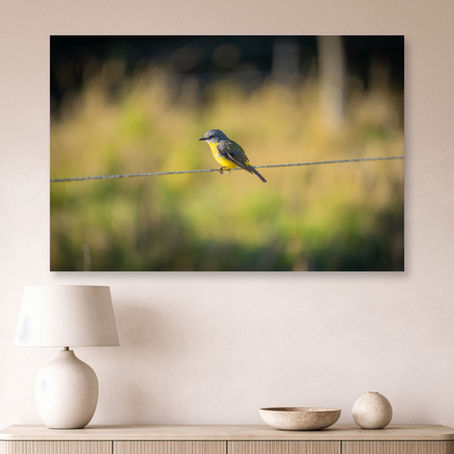 Metallic glass print hanging on wall featuring an Eastern Yellow Robin on a wire