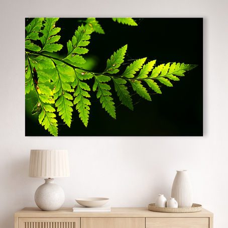 Metallic glass print hanging on the wall, featuring a glowing fern frond against a dark background