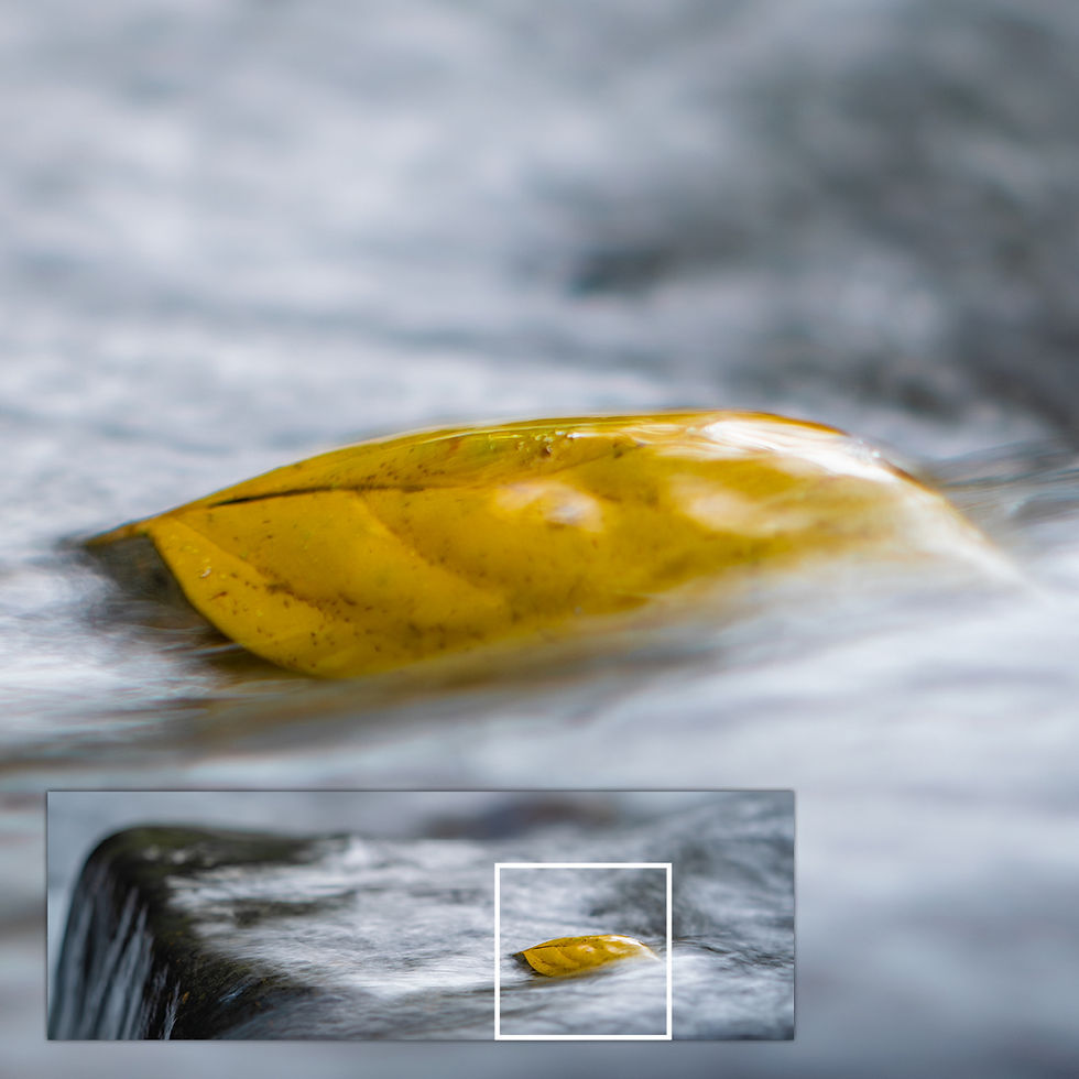 Close-up of metallic glass print showing golden leaf and flowing water detail