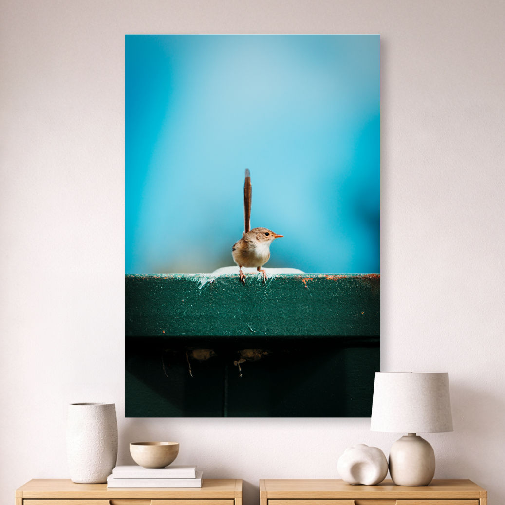 Metallic glass print hanging on the wall above a sideboard, showing a female Red-backed Fairywren