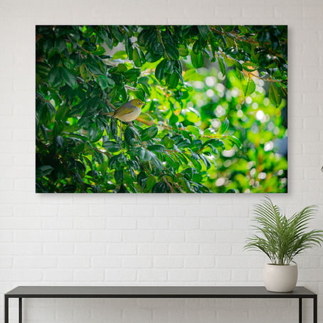 Metallic glass print of a Silvereye bird perched in lush green leaves, mounted on a white brick wall above a black table with a potted plant. Bright setting.