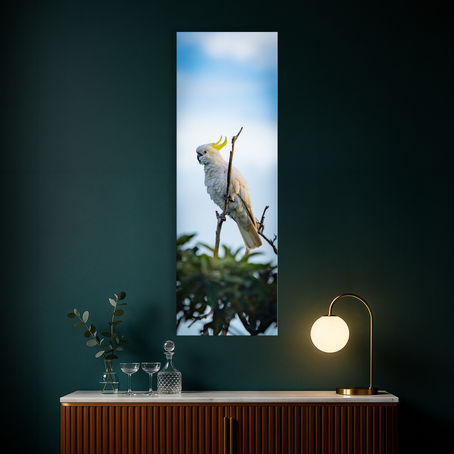 Metallic glass print hanging on the wall, showing a Sulphur-Crested Cockatoo on a branch