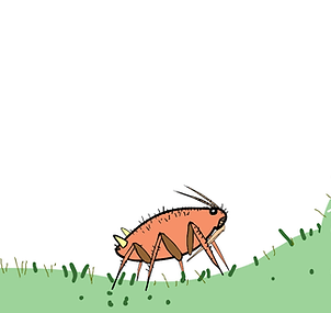 thumbnail.png