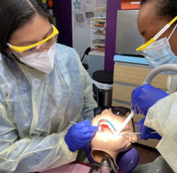 Dental students