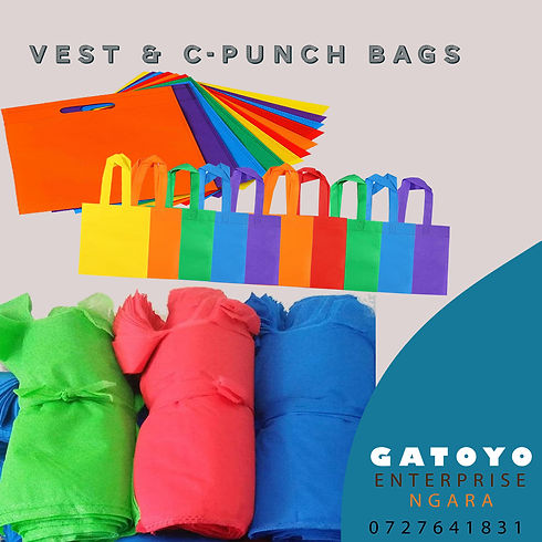 Gatoyo Vest bags.jpg