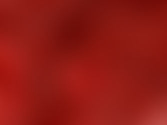 PhD opportunity: how does blood flow build blood stem cells?