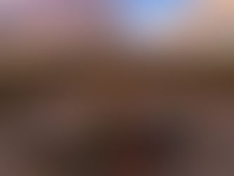 Ley Bases: cómo quedó la versión final del RIGI