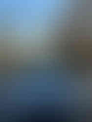 CHALLENGER DODGE DETAIL