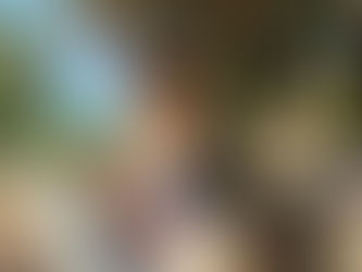 Mi recorrido hasta llegar aquí...