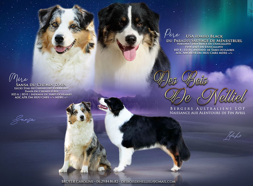 Idaho & Sansa.jpg