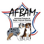 Club de Race des Bergers Américains Miniatures