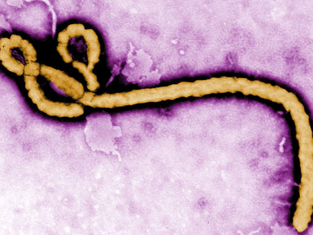 Ebola Outbreak, WHO and US CDC Policies on Infectious Diseases
