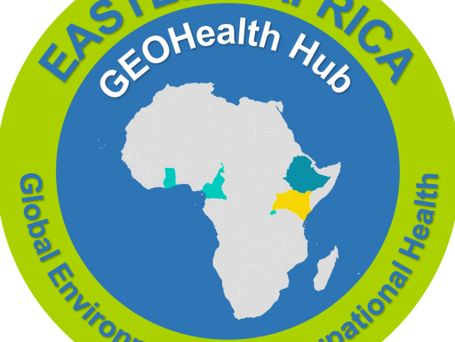 The GEOHealth Hub for Eastern Africa: Contributions and Lessons Learned